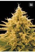 Ananas Funk