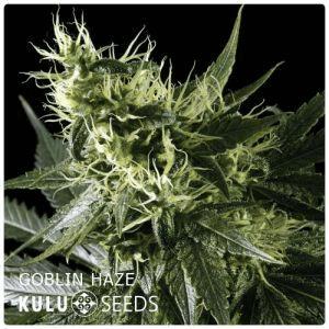 Original Haze  (Kulu)