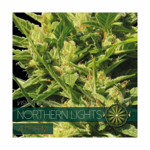 Northern Lights autoflowering (V.S.)