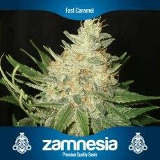 Fast Caramel