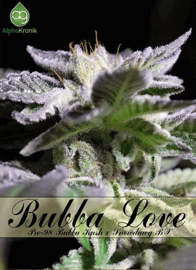 Bubba Love