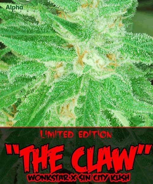 The Claw