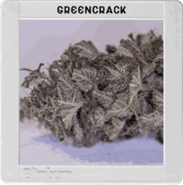 Green Crack (BBS)