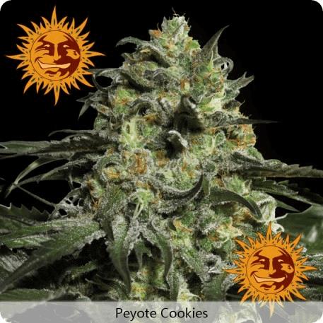 Peyote Cookies