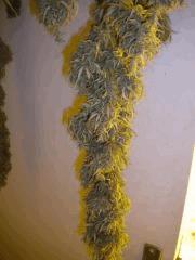 La master en sechage