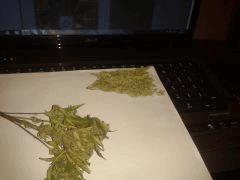 Cut