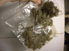 La petite "23g"