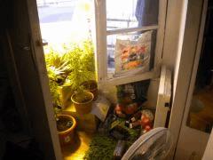 Mon install nature.