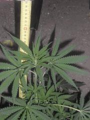 outdoor4