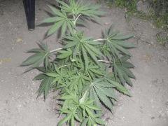 outdoor2