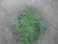 outdoor1