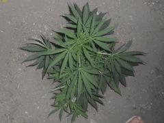 outdoor3