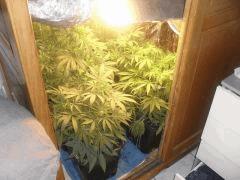 Flo 3 (5)