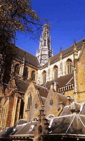 med_gallery_747833_1046_34072.jpg