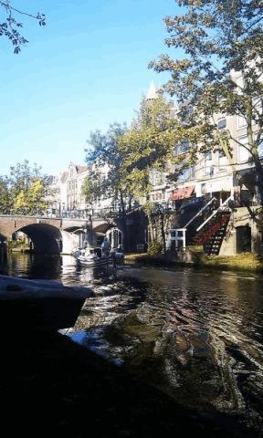 med_gallery_747833_1046_37724.jpg