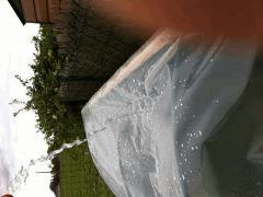 IMG 0101