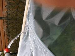 IMG 0100