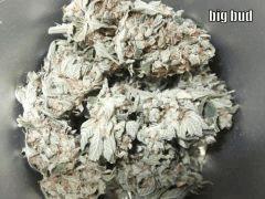 DSCF0326