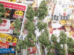 DSCF0330