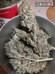 DSCF2423