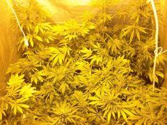 DSCF0166