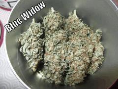 DSCF2419