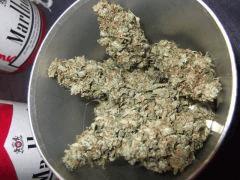 DSCF2454