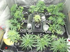 DSCF0892