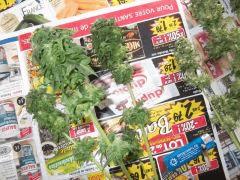 DSCF0331