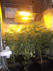 DSCF1307