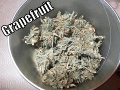 DSCF2433