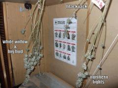 DSCF0294