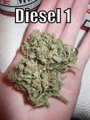 DSCF2438