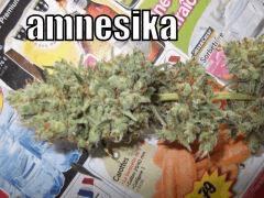 DSCF0353