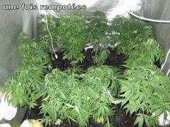 DSCF1155
