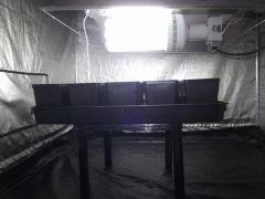 DSCF0586