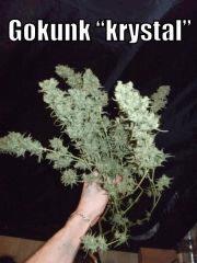 DSCF2330