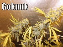DSCF2157