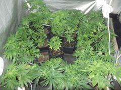 DSCF0979