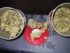 DSCF1293