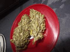 DSCF1287
