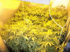 DSCF1302