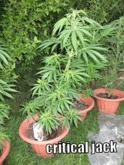 DSCF0424