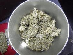 DSCF1288