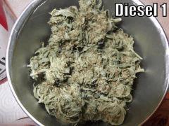 DSCF2429