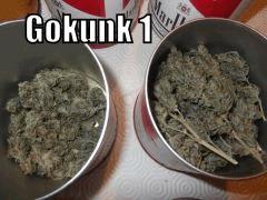 DSCF2421