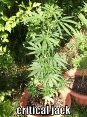 DSCF0366