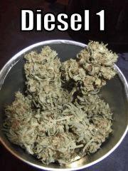 DSCF2461