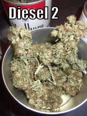 DSCF2460