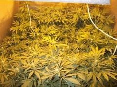 DSCF1301